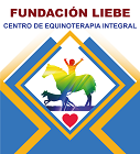 Fundación Liebe